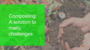 Composting_Mission_Sustainability